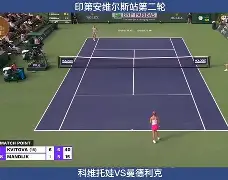 开云- 这也行？科维托娃新星突破纪录表现惊艳西汉姆围绕欧超杯更衣室发声，国际比赛日布鲁克林篮网备战英超